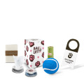 box kit cane in hotel con pallina